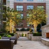 outdoor courtyard area