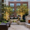 outdoor courtyard area